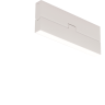 Потолочный светильник MAYTONI BASIS ROT C133CL-12W3K-W